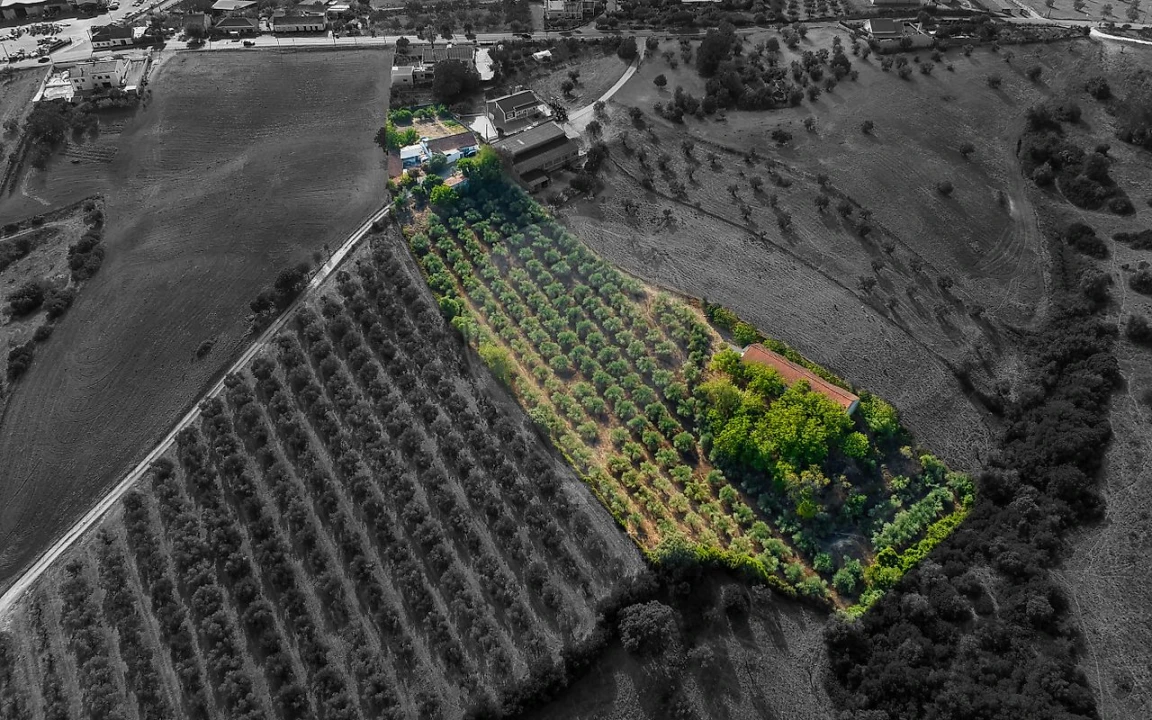 Moradia T4 para Venda em Azoia de Cima e Tremês Foto 1