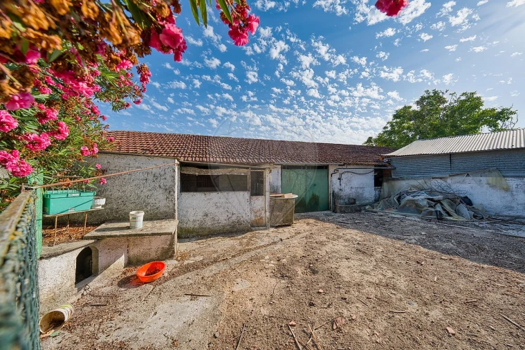 Moradia T4 para Venda em Azoia de Cima e Tremês Foto 20