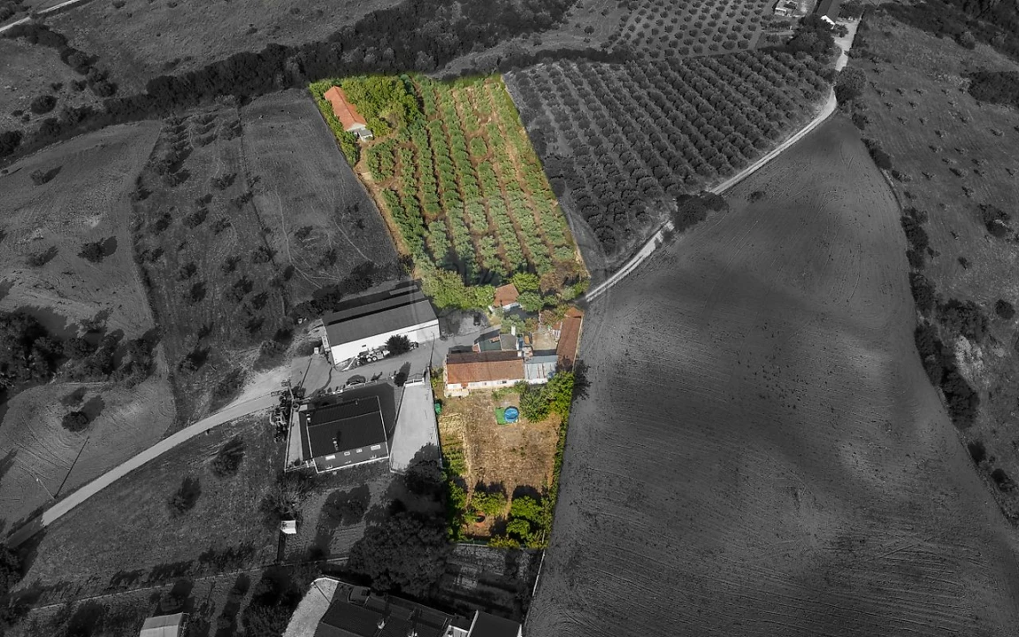 Moradia T4 para Venda em Azoia de Cima e Tremês Foto 9