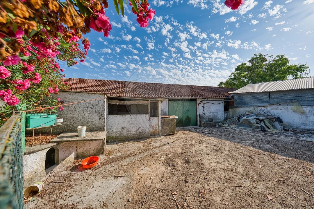 Moradia T4 para Venda em Azoia de Cima e Tremês Foto 20