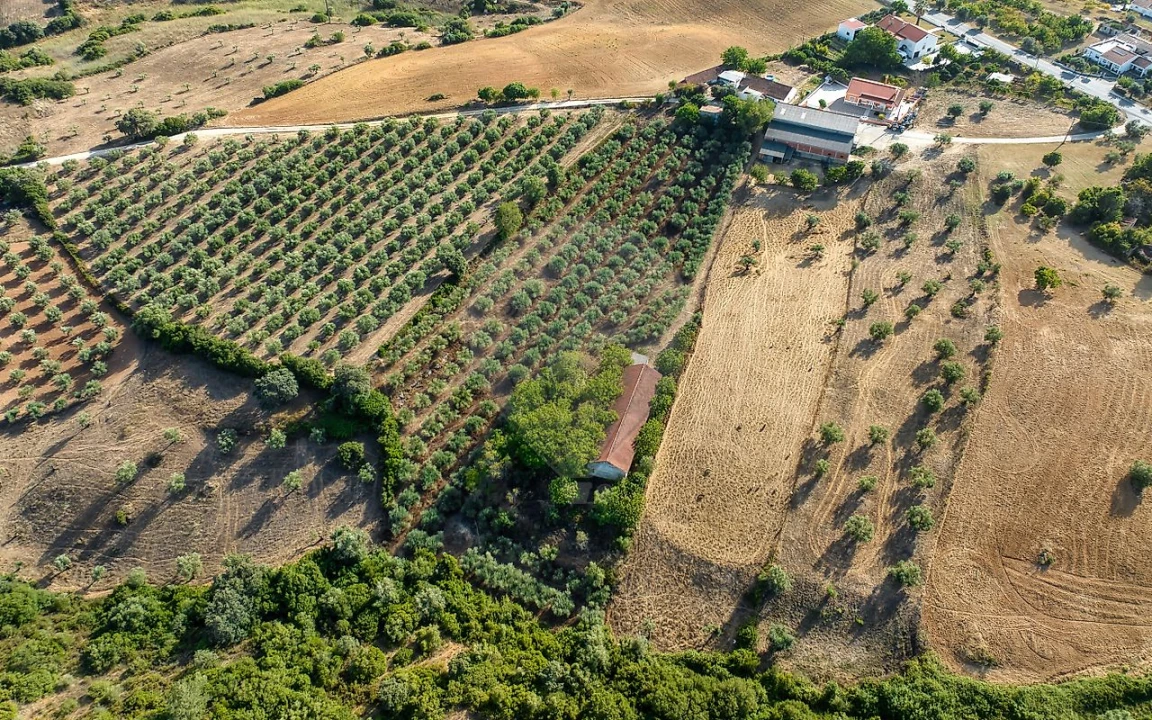 Moradia T4 para Venda em Azoia de Cima e Tremês Foto 7