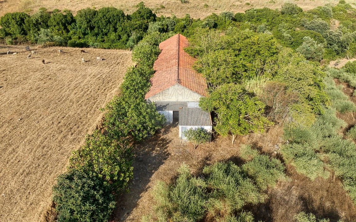 Moradia T4 para Venda em Azoia de Cima e Tremês Foto 25