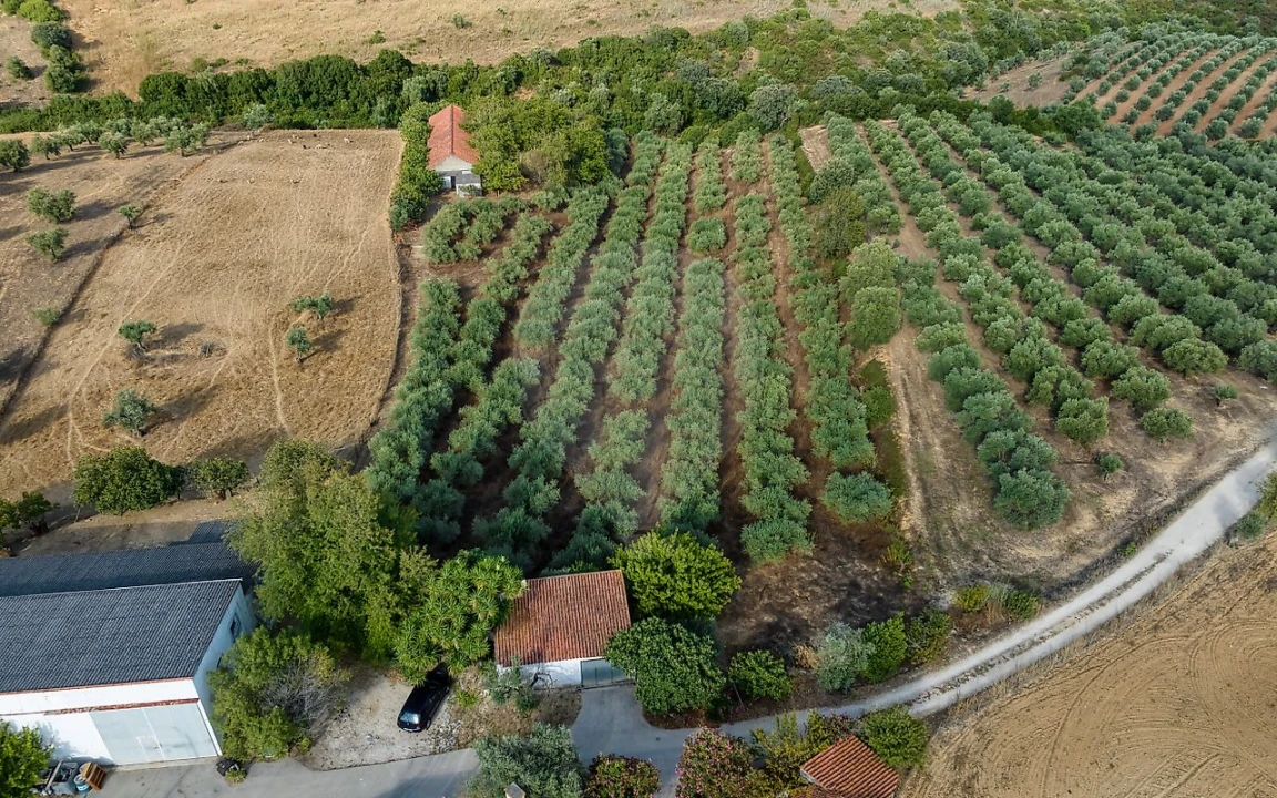 Moradia T4 para Venda em Azoia de Cima e Tremês Foto 15