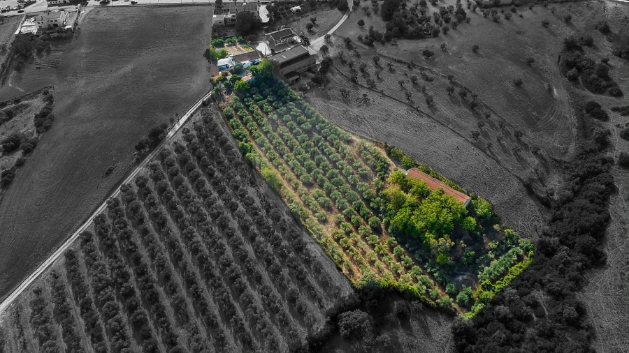 Moradia T4 para Venda em Azoia de Cima e Tremês