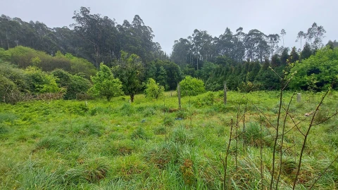 Moradia T3 para Venda em Ovar, São João, Arada e São Vicente de Pereira Jusã