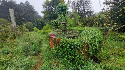 Moradia T3 para Venda em Ovar, São João, Arada e São Vicente de Pereira Jusã
