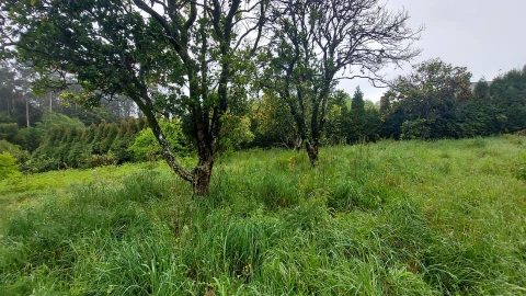 Moradia T3 para Venda em Ovar, São João, Arada e São Vicente de Pereira Jusã