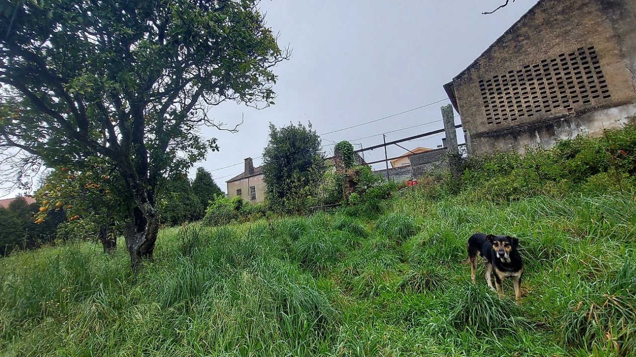 Moradia T3 para Venda em Ovar, São João, Arada e São Vicente de Pereira Jusã Foto 5