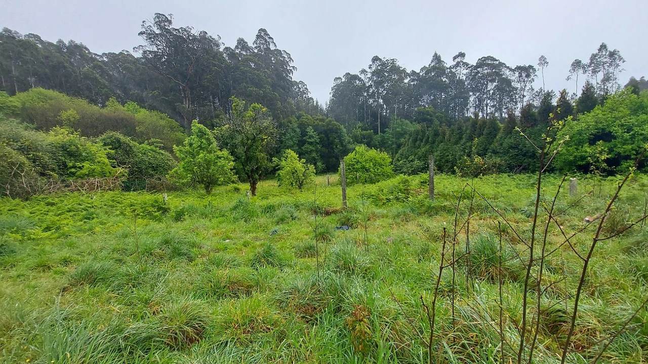 Moradia T3 para Venda em Ovar, São João, Arada e São Vicente de Pereira Jusã Foto 1