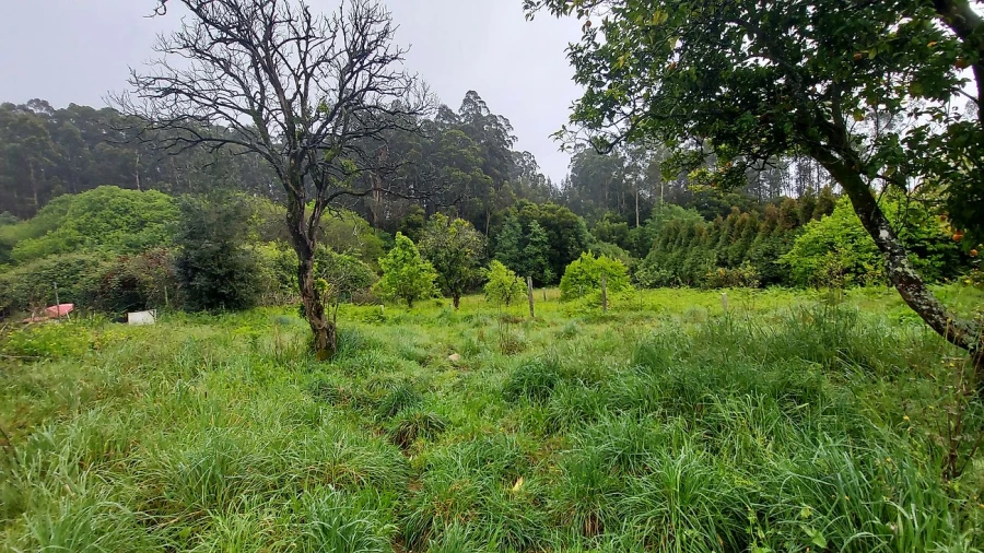Moradia T3 para Venda em Ovar, São João, Arada e São Vicente de Pereira Jusã Foto 4