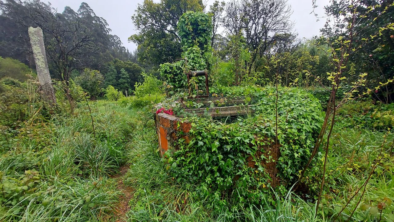 Moradia T3 para Venda em Ovar, São João, Arada e São Vicente de Pereira Jusã Foto 6