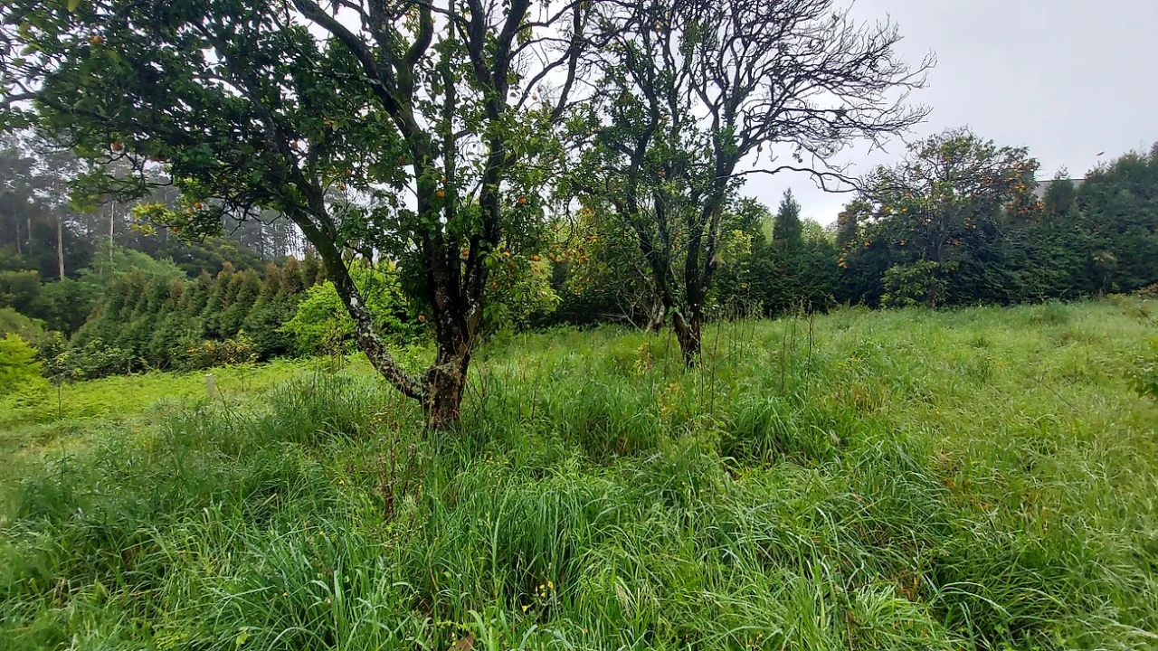 Moradia T3 para Venda em Ovar, São João, Arada e São Vicente de Pereira Jusã Foto 3