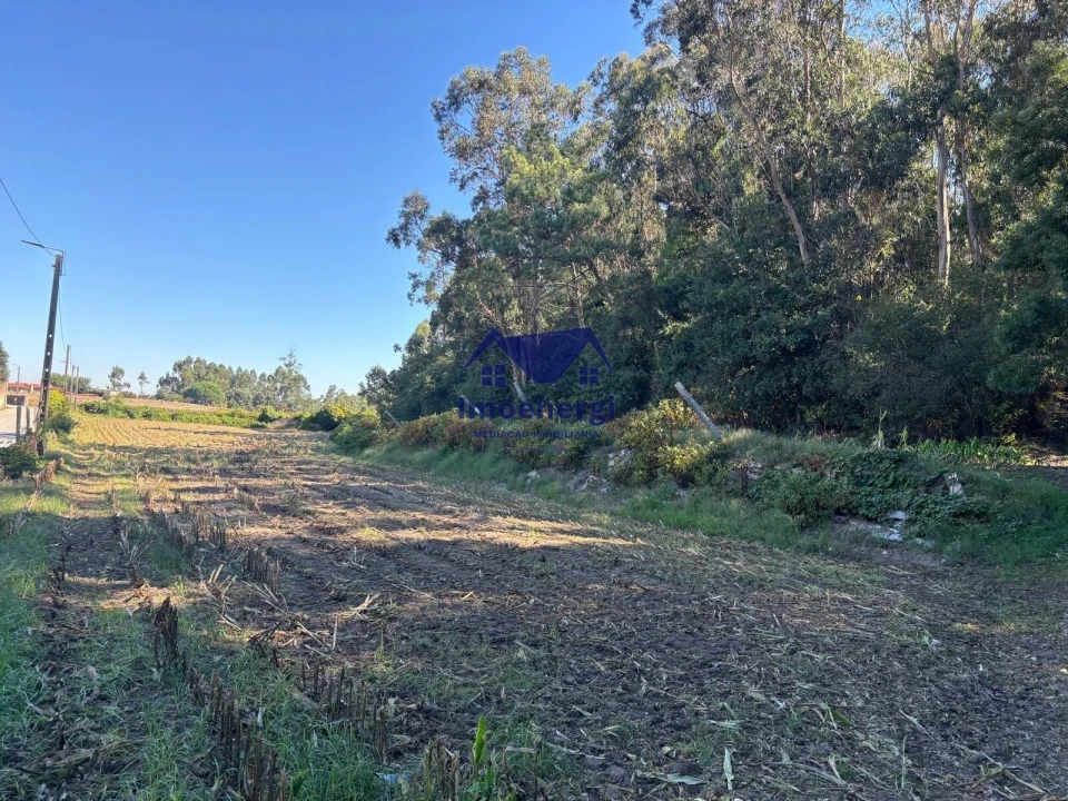 Terreno para Venda em Junqueira Foto 10