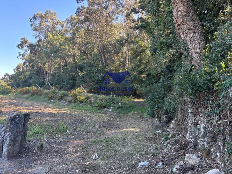 Terreno para Venda em Junqueira Foto 14