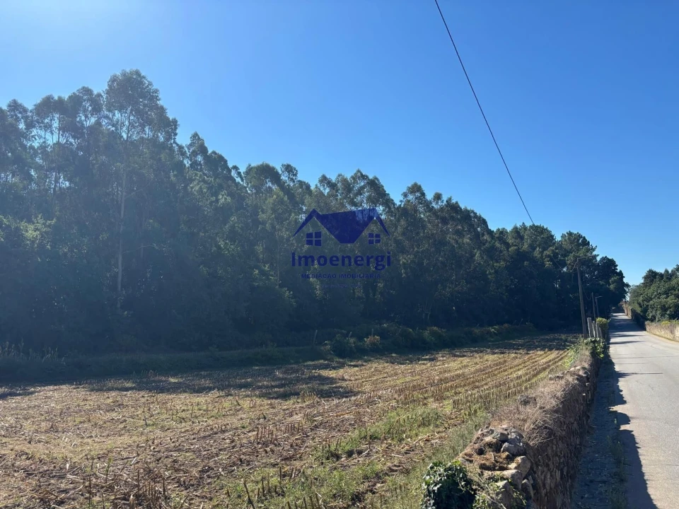 Terreno para Venda em Junqueira Foto 3