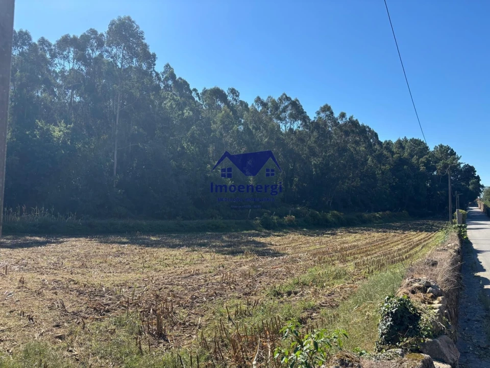 Terreno para Venda em Junqueira Foto 5