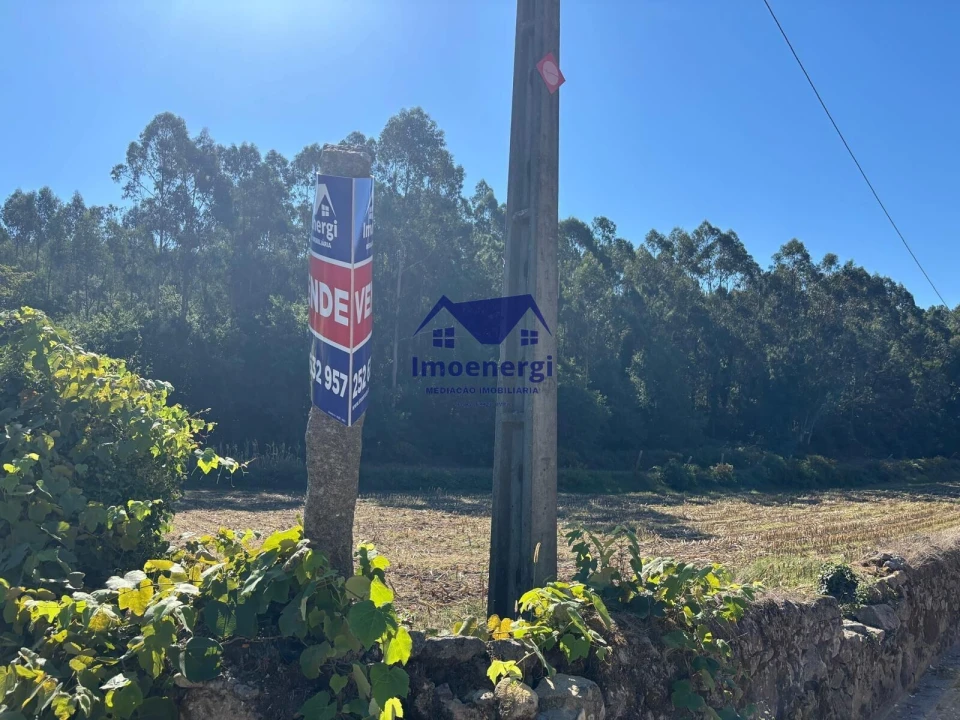 Terreno para Venda em Junqueira Foto 7