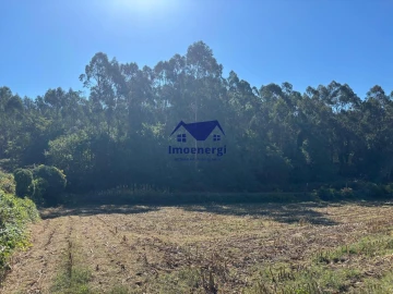Terreno para Venda em Junqueira
