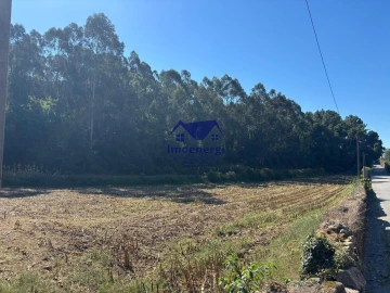 Terreno para Venda em Junqueira