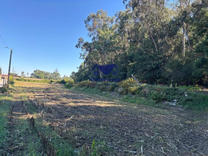 Terreno para Venda em Junqueira Foto 10