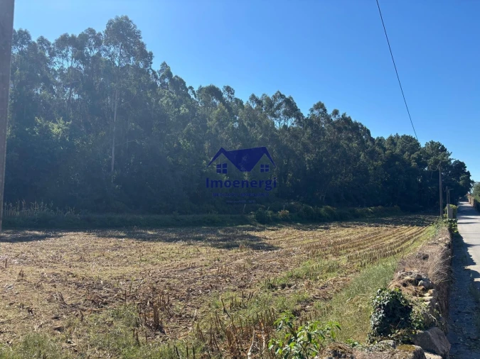Terreno para Venda em Junqueira Foto 5