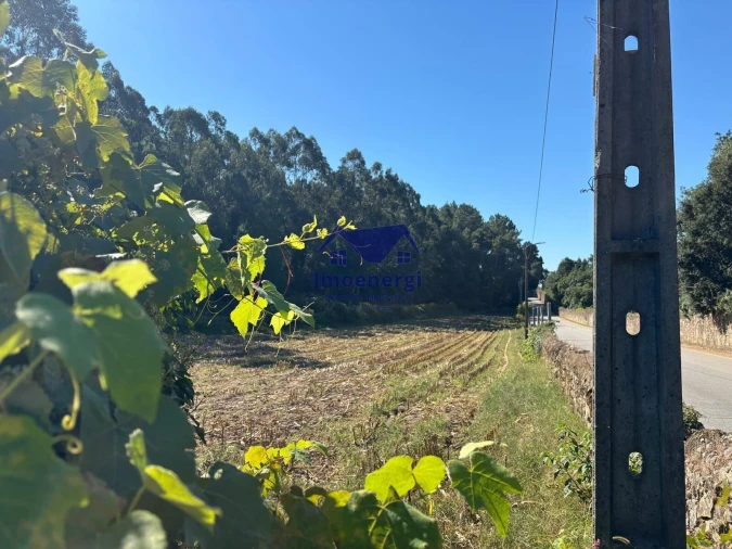 Terreno para Venda em Junqueira Foto 6