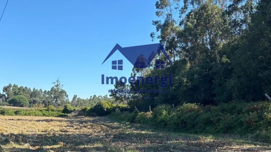 Terreno para Venda em Junqueira