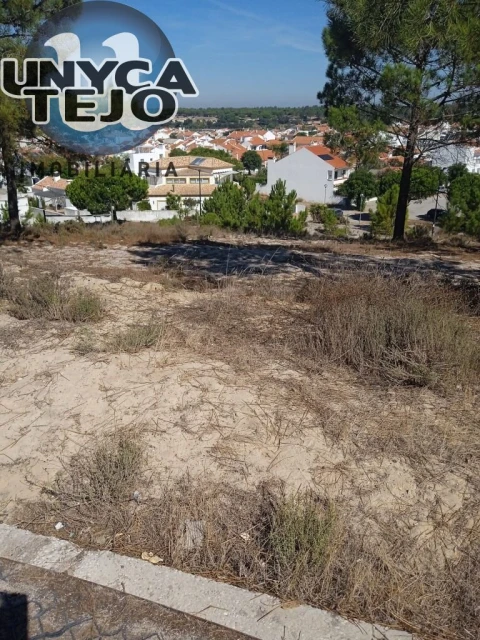 Terreno para Venda em Carvalhal