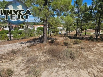 Terreno para Venda em Carvalhal