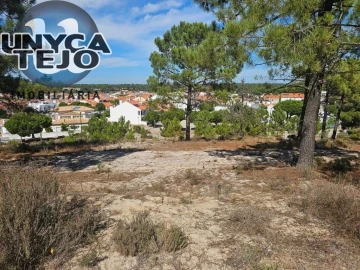 Terreno para Venda em Carvalhal