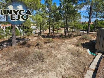 Terreno para Venda em Carvalhal