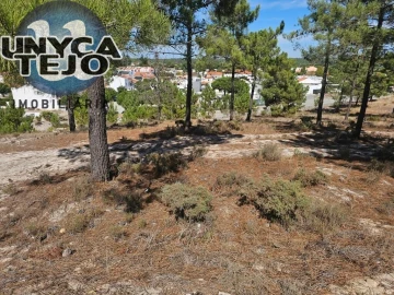 Terreno para Venda em Carvalhal