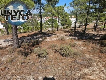 Terreno para Venda em Carvalhal