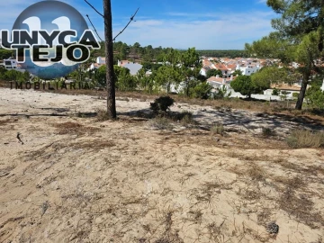Terreno para Venda em Carvalhal