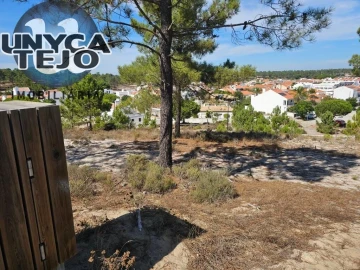 Terreno para Venda em Carvalhal