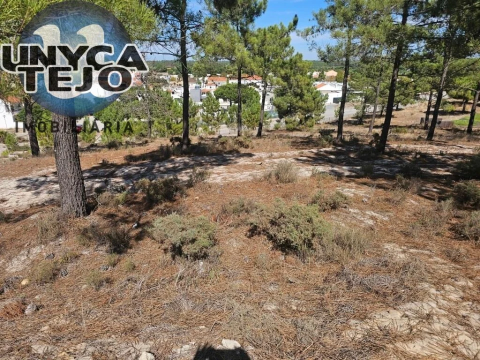 Terreno para Venda em Carvalhal Foto 18