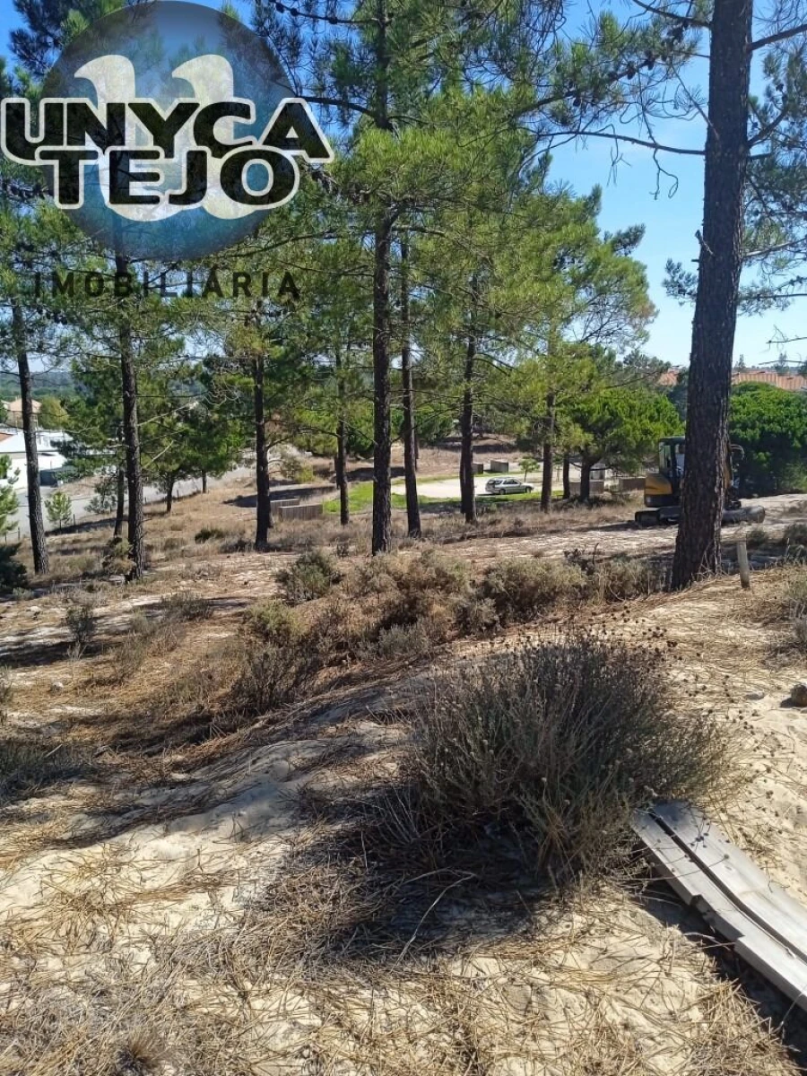 Terreno para Venda em Carvalhal Foto 2