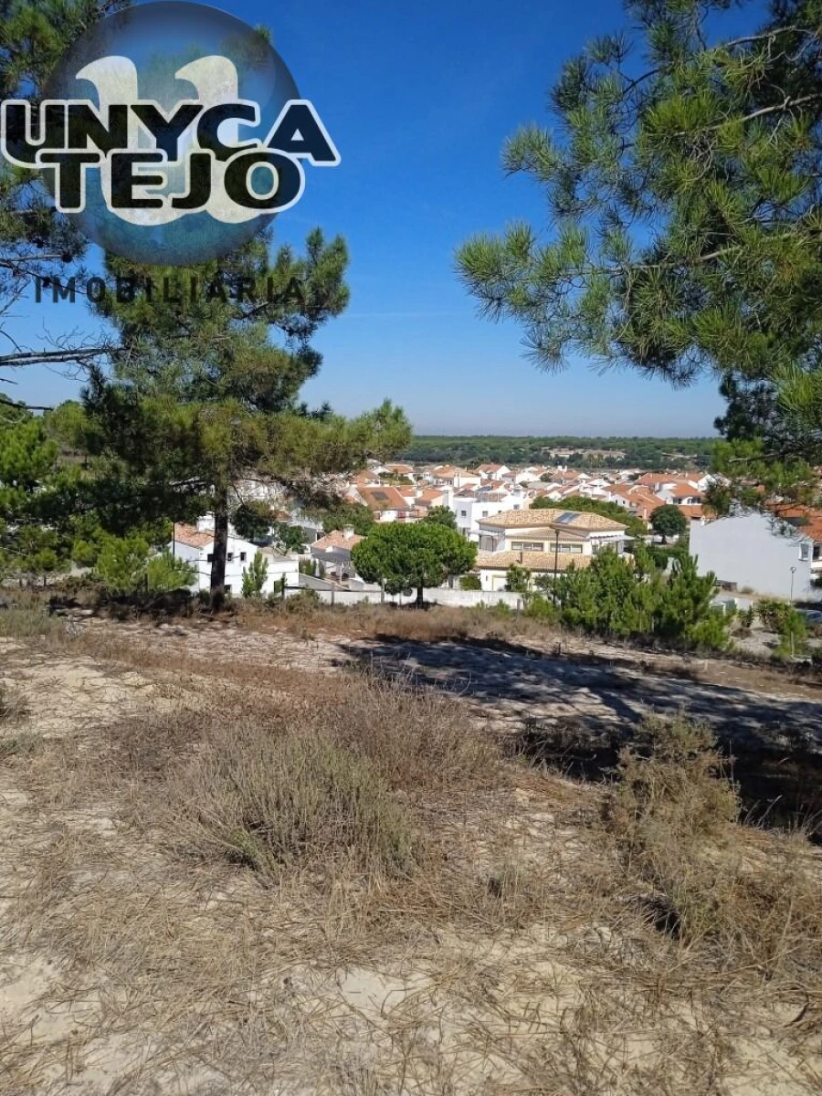 Terreno para Venda em Carvalhal Foto 3