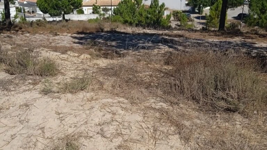 Terreno para Venda em Carvalhal