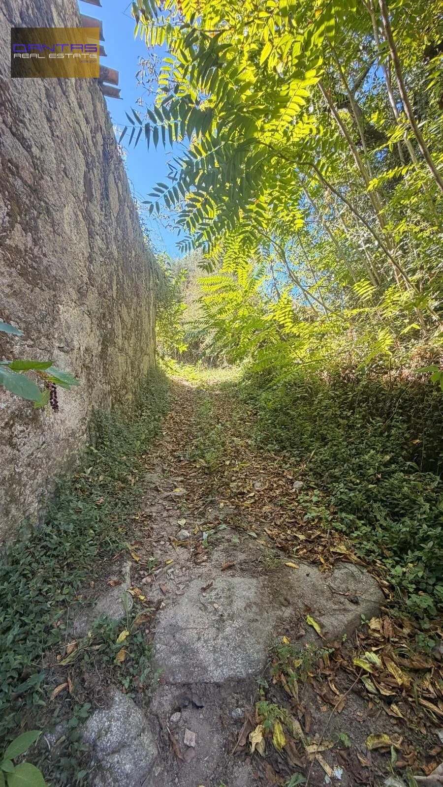 Moradia para Venda em Vila Verde e Barbudo Foto 7