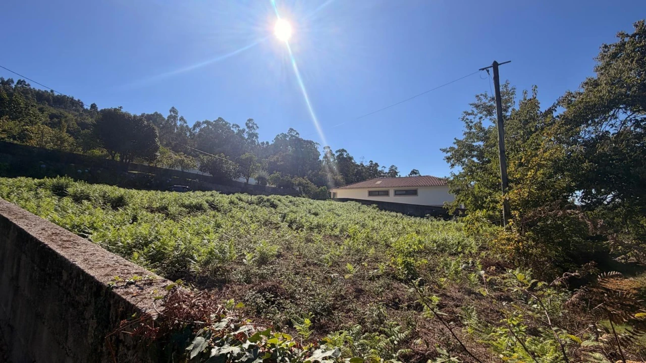 Terreno para Venda em Vila Verde e Barbudo Foto 5