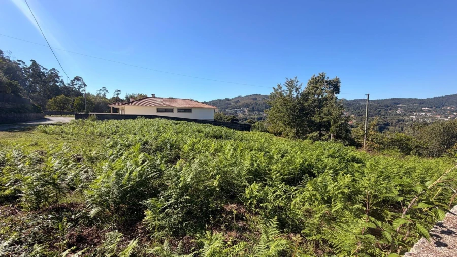 Terreno para Venda em Vila Verde e Barbudo Foto 6