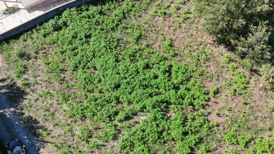 Terreno para Venda em Vila Verde e Barbudo