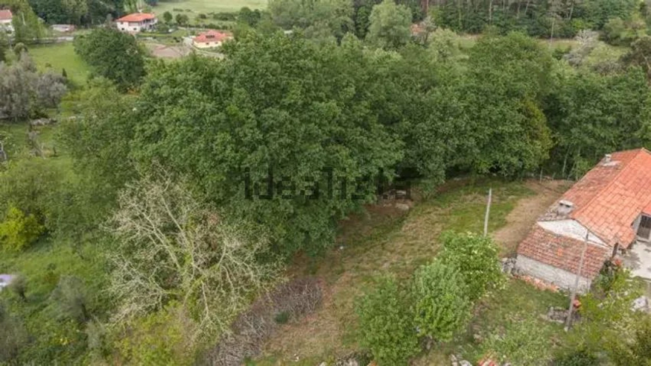 Terreno para Venda em Cantelães Foto 10