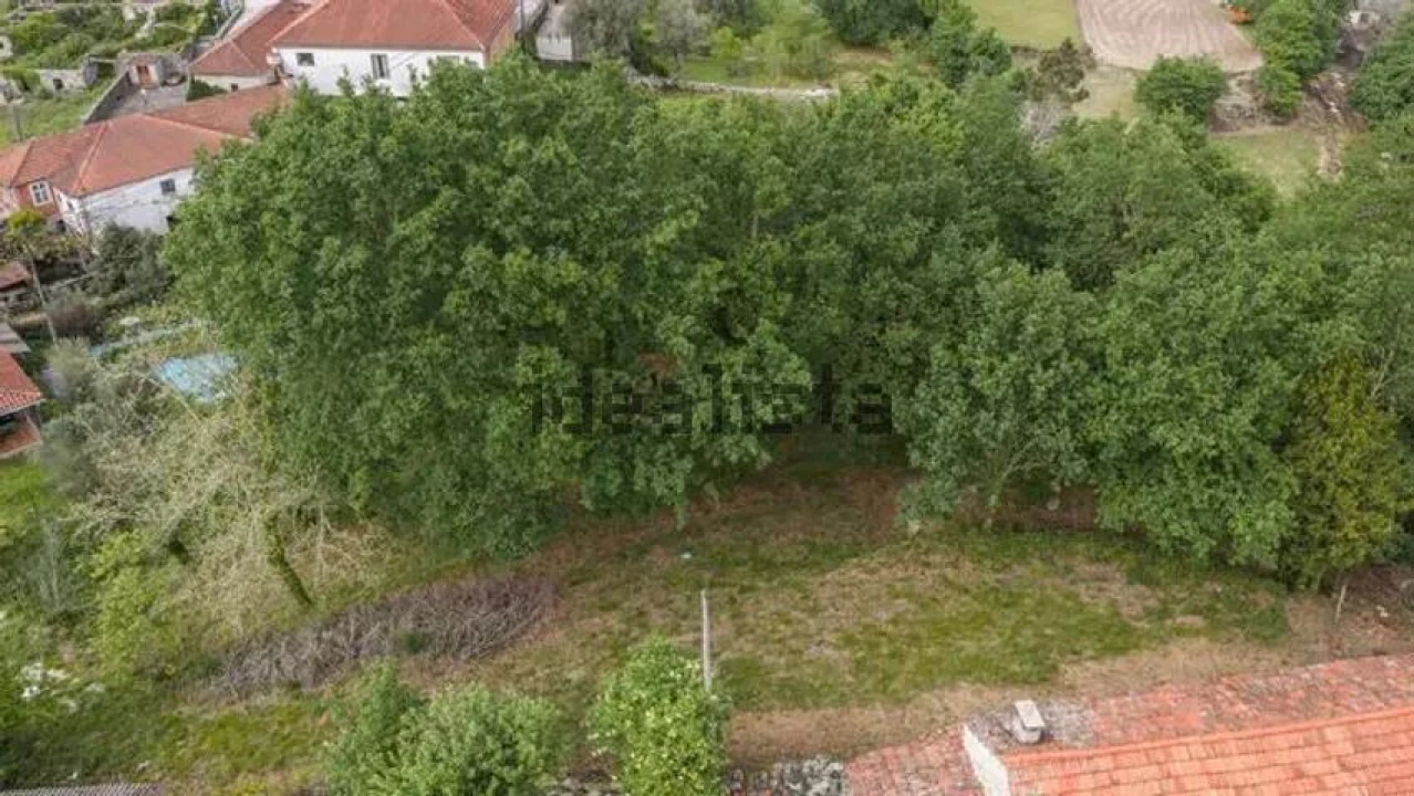 Terreno para Venda em Cantelães Foto 6