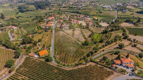 Moradia T4 para Venda em Calheiros