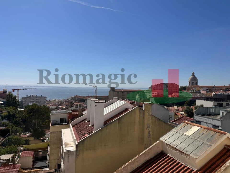 Apartamento T1 para Venda em São Vicente Foto 5