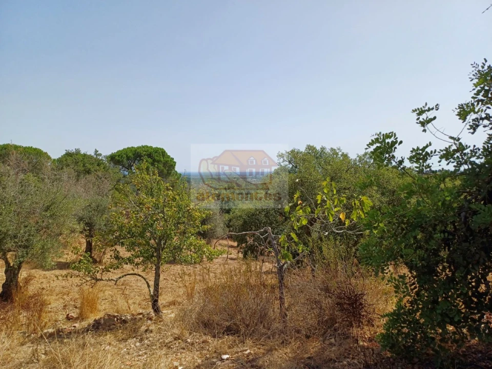 Quinta T4 para Venda em Grândola e Santa Margarida da Serra Foto 18