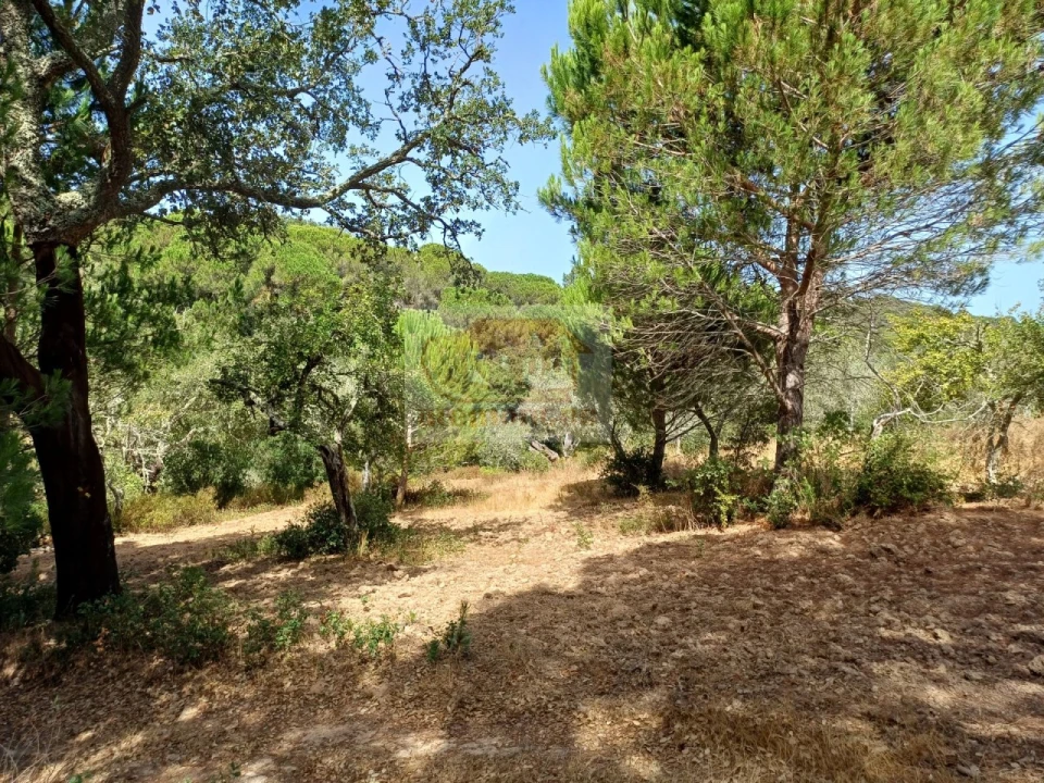 Quinta T4 para Venda em Grândola e Santa Margarida da Serra Foto 19