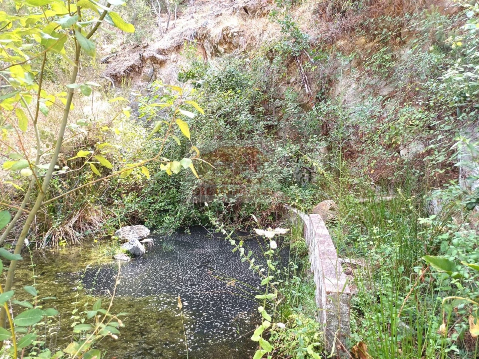 Quinta T4 para Venda em Grândola e Santa Margarida da Serra Foto 21